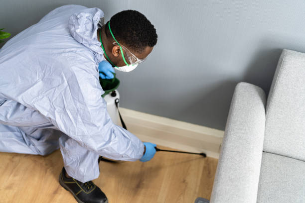 Real Estate Pest Inspections in Youngstown, NY